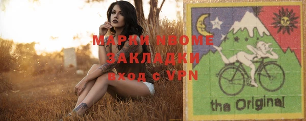 стаф Бородино