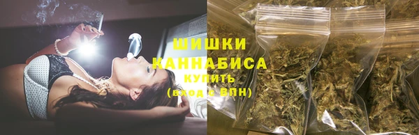 стаф Бородино