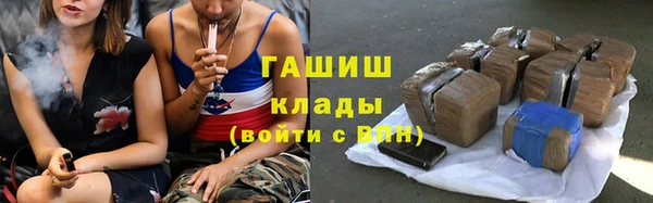 стаф Бородино