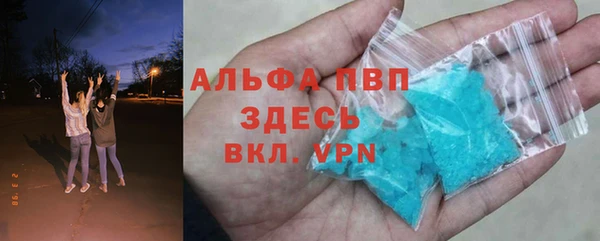 стаф Бородино
