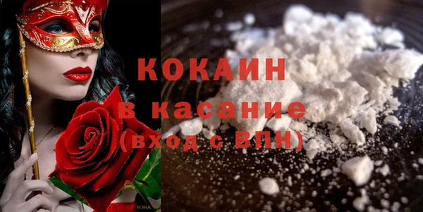 стаф Бородино
