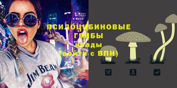 стаф Бородино