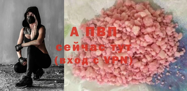 стаф Бородино