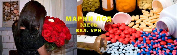 стаф Бородино