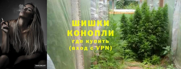 ПСИЛОЦИБИНОВЫЕ ГРИБЫ Бугульма